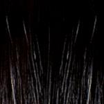 SHE HAIR EXTENSION CIOCCHE CHERATINA CM.55/60 CF.100 PZ 1B NERO