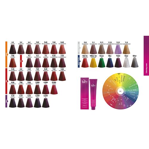 ING TINTURA VEGANA PERMANENTE PROFESSIONALE AGLI ACIDI DELLA FRUTTA E TÈ VERDE 100ML