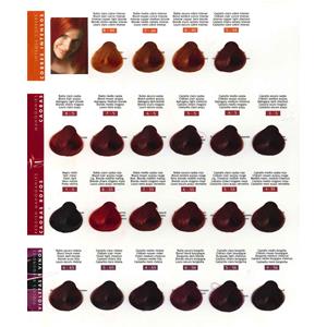 TINTURA NIRVEL ARTX 100ML